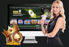 bdj99